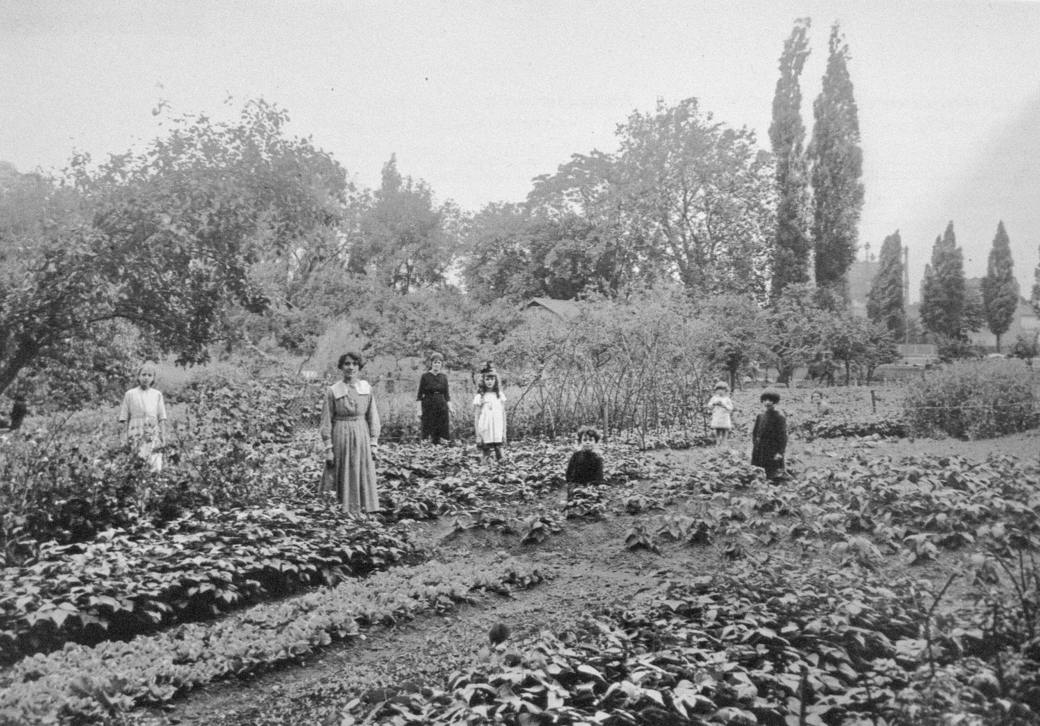 Ile Seguin-Jardins ouvriers pour les personnels de l'entreprise Renault-1920_02_Renault com