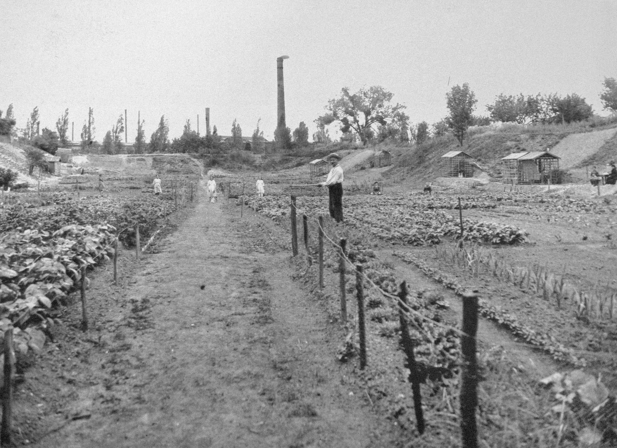 Ile Seguin-Jardins ouvriers pour les personnels de l'entreprise Renault-1920_02_Renault com