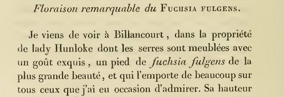 Floraison Fuschia Flore et Pomone 1840