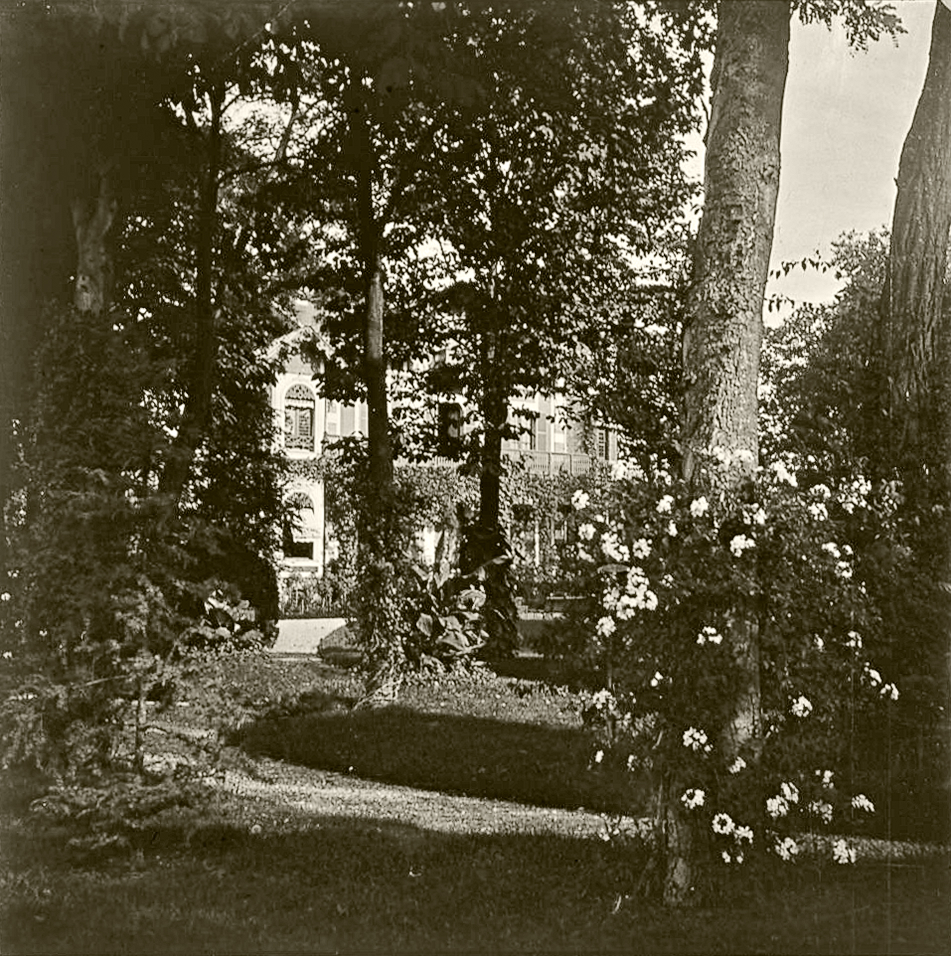 599b Jardin de Billancourt 1900 opti