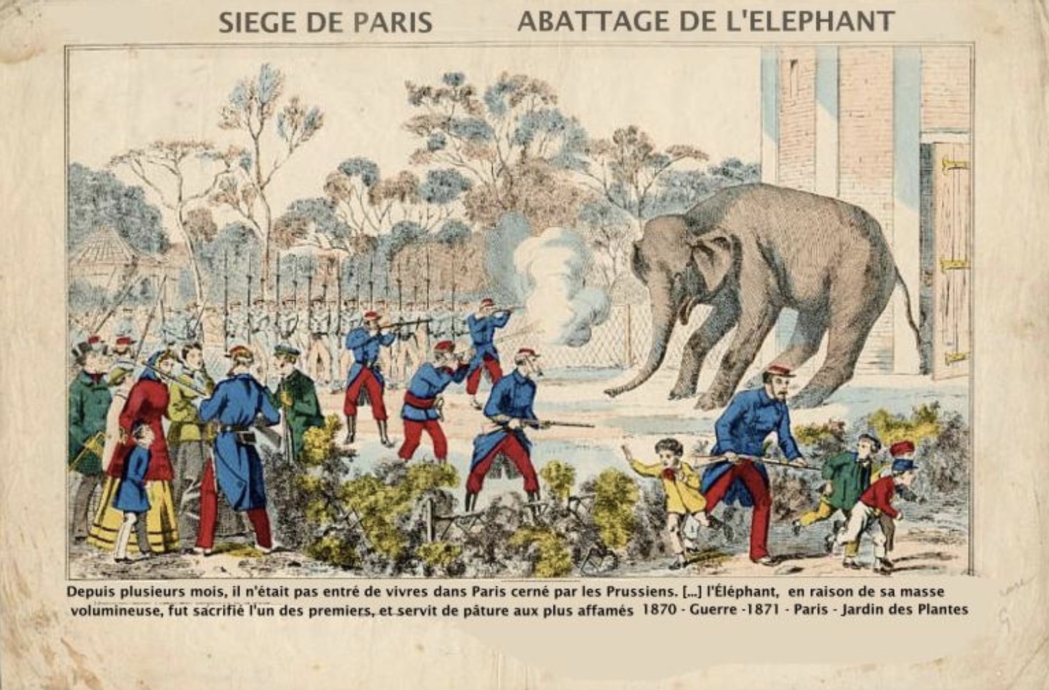 6 - Mort de l'éléphant